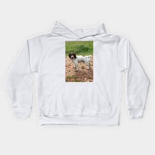 Brock in the Park Kids Hoodie